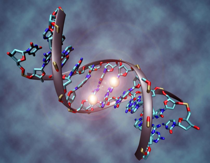 Epigenetica